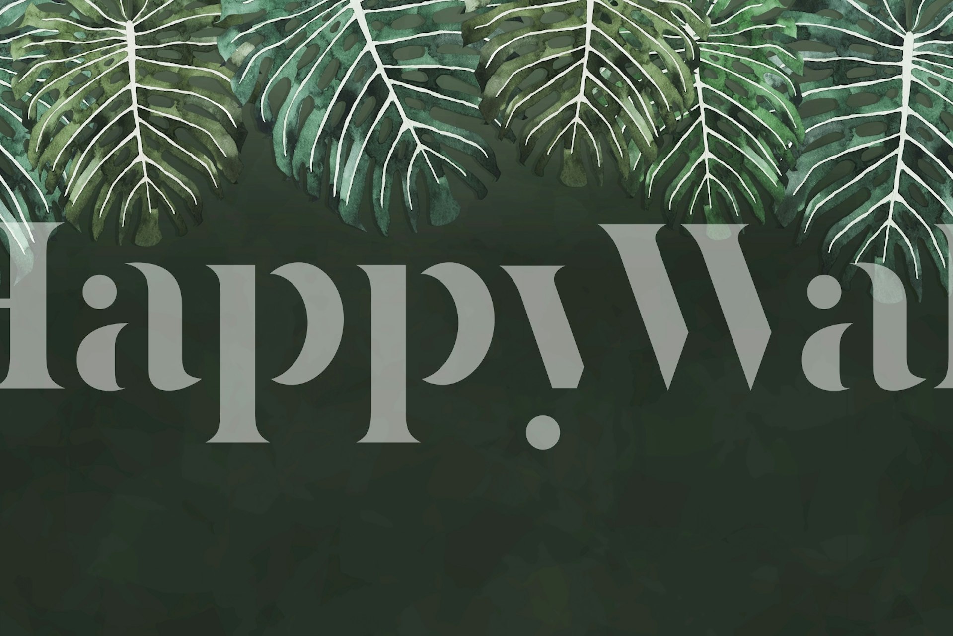 Monstera leaves in green color on black background wallpaper