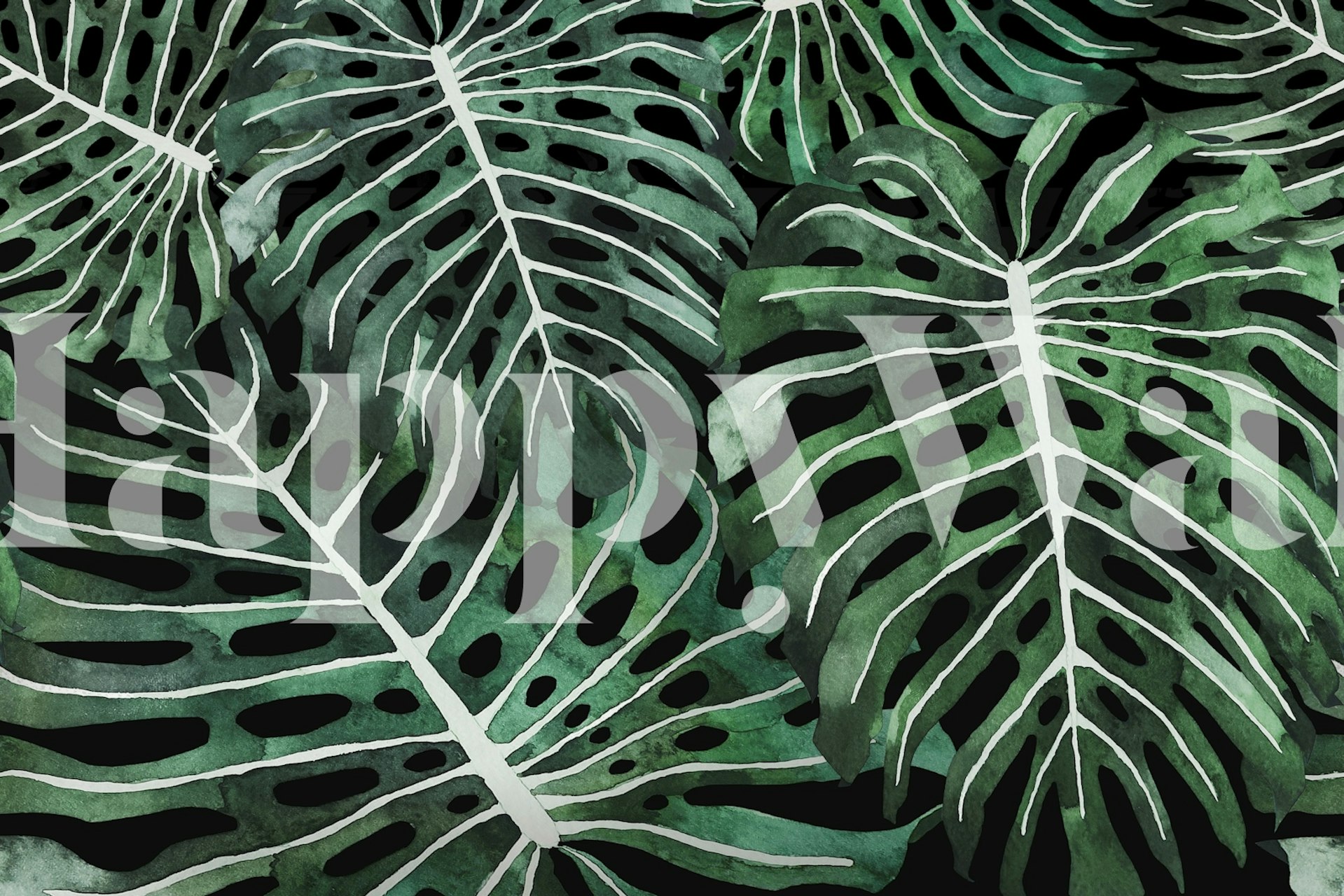 Monstera Jungle Oasis black wallpaper in a room