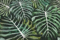 Monstera Jungle Oasis green wallpaper