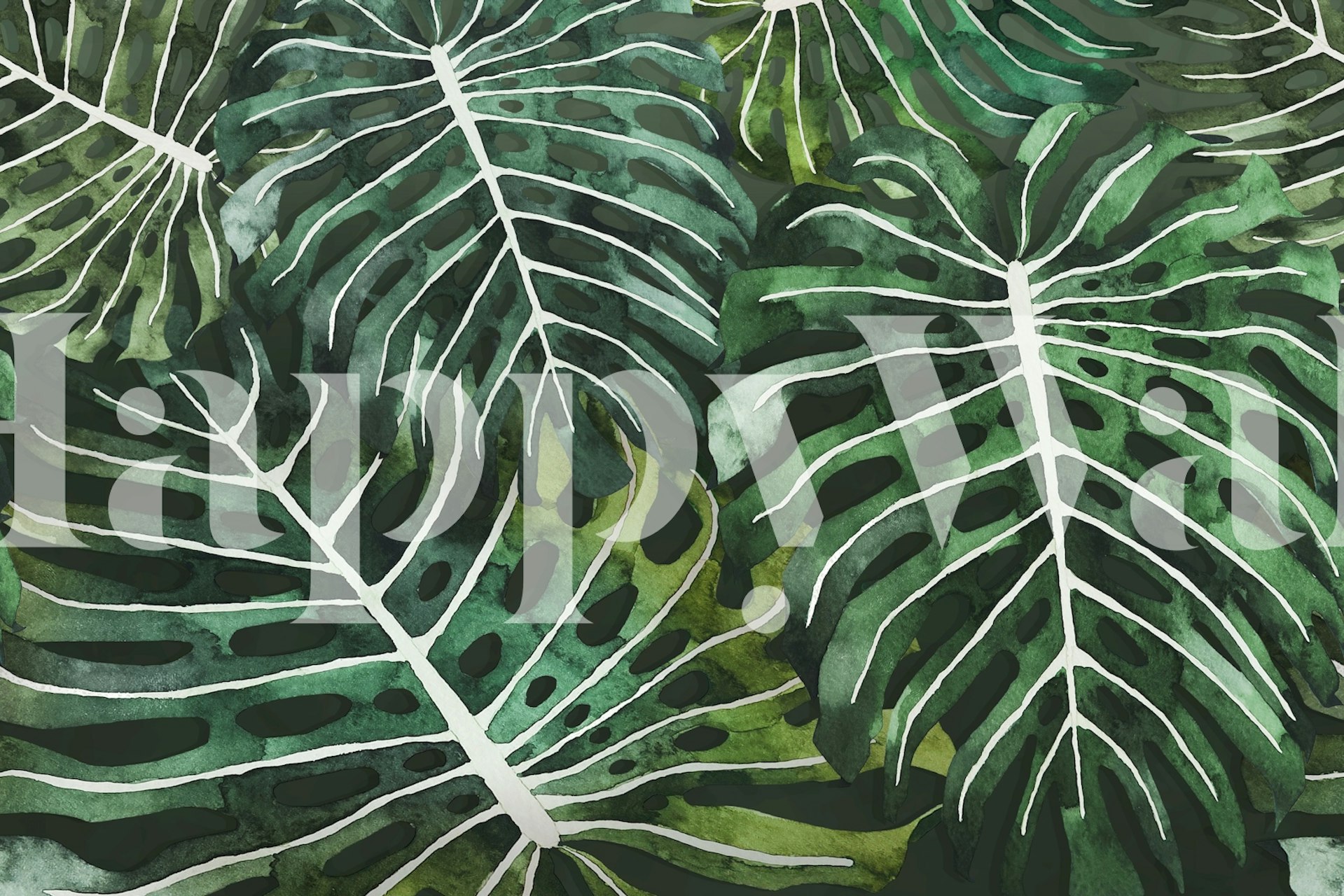 Green monstera leaves with white veins tropical wallpaper