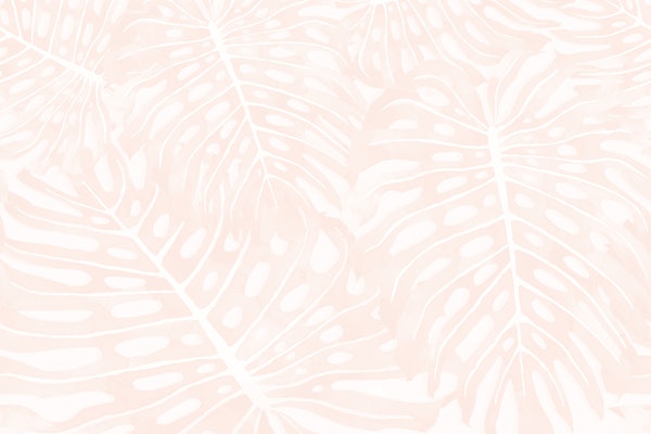 Monstera Jungle Oasis apricot