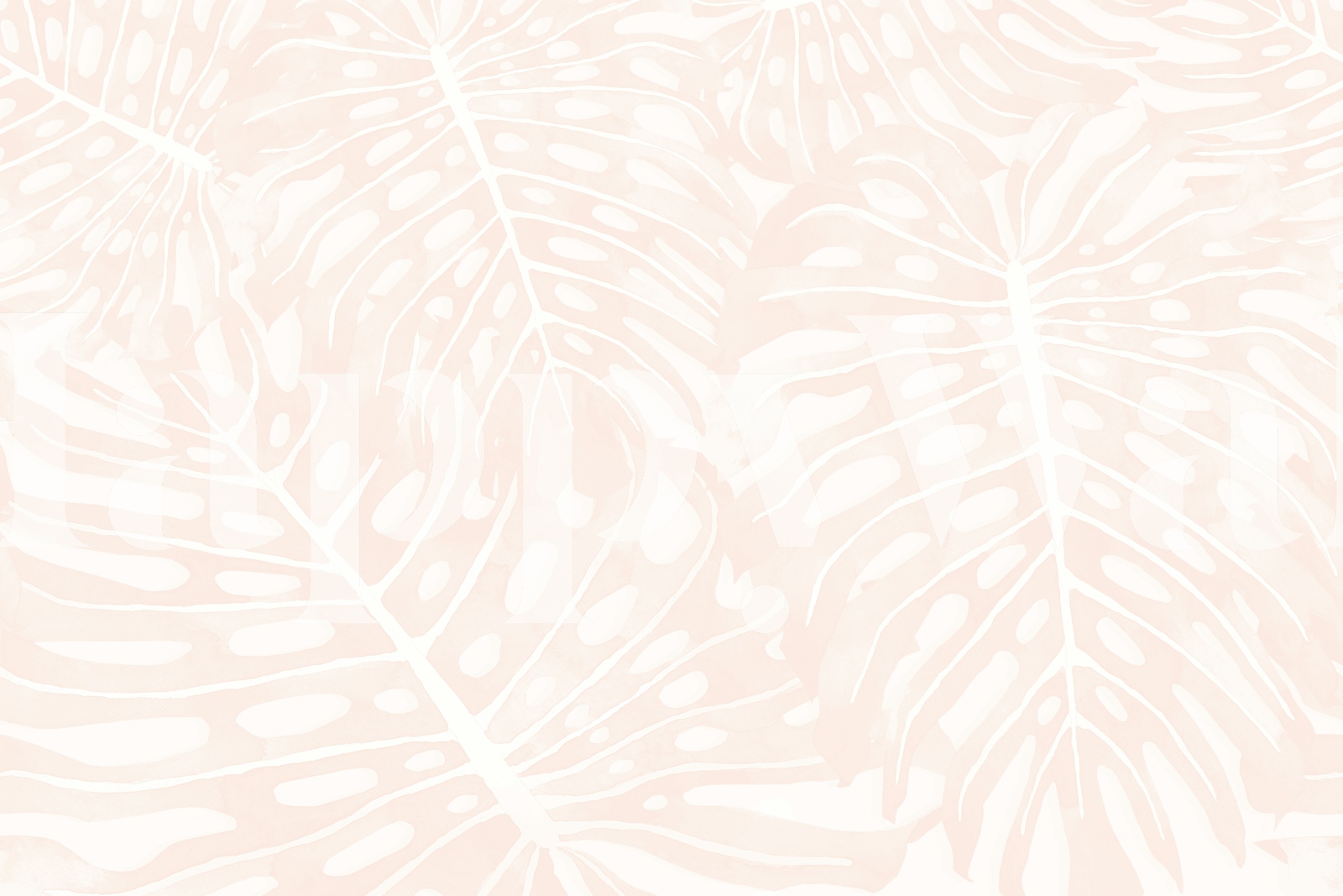 Monstera Jungle Oasis apricot tapet i et rom