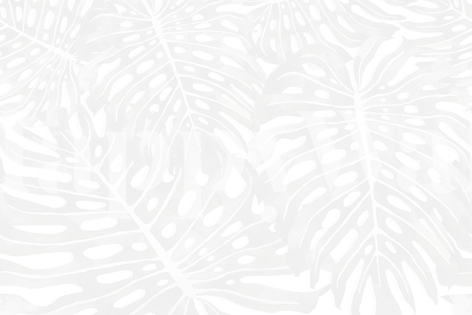 Monstera leaf pattern in white on grey background wallpaper