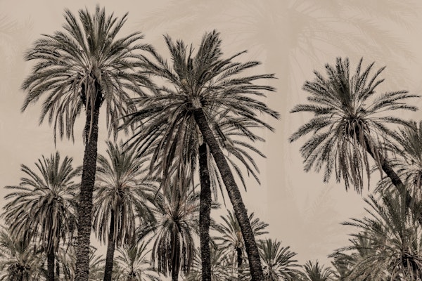 Sicilian Memories 15