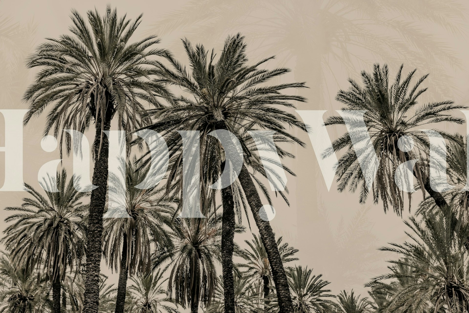 Sicilian Memories 15 tapet med palmer