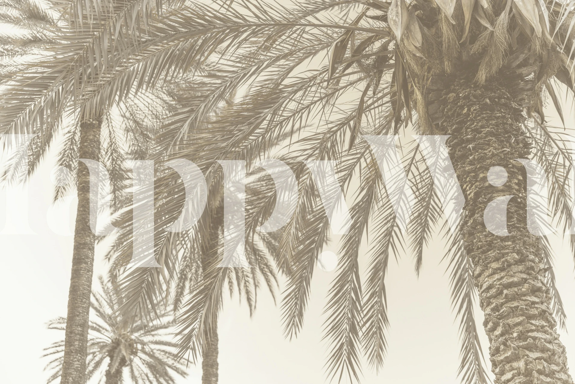 Sicilian Memories 12 tapet i et rom