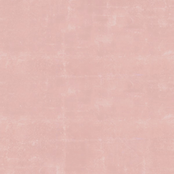 Powder Pink Blush