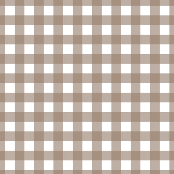 Gingham - mocha brown on white - Medium