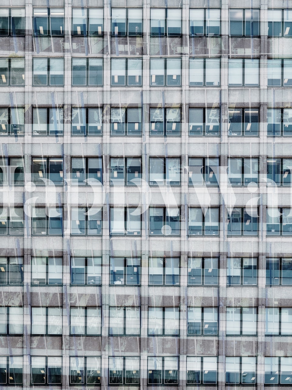 Conception de papier peint Windows Pattern III dans une pièce