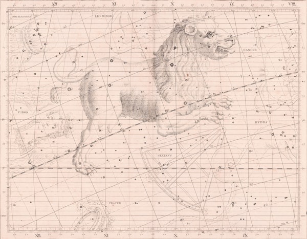 Zodiacs - Leo - Paper texture - Aster