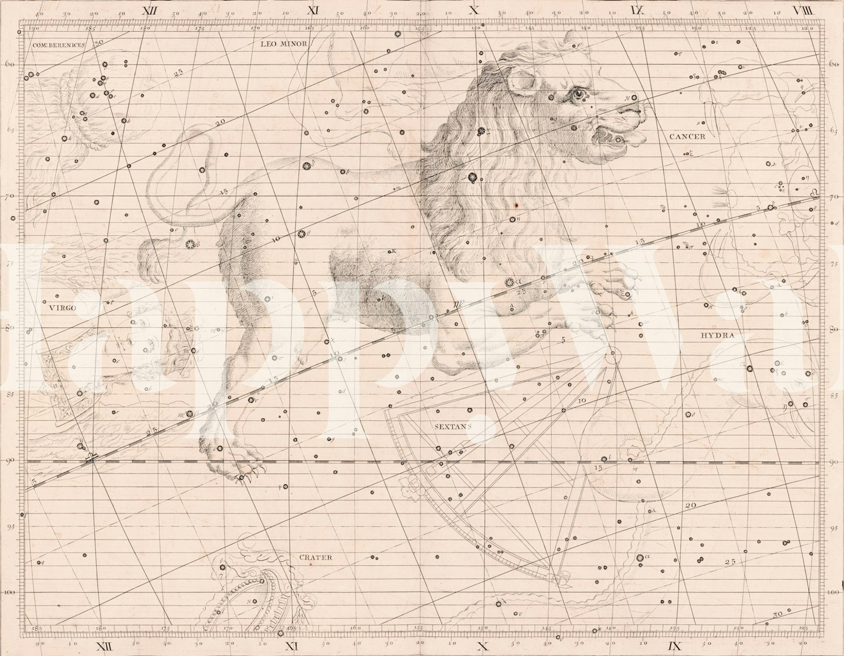 Zodiac Leo wallpaper u postavci sobe