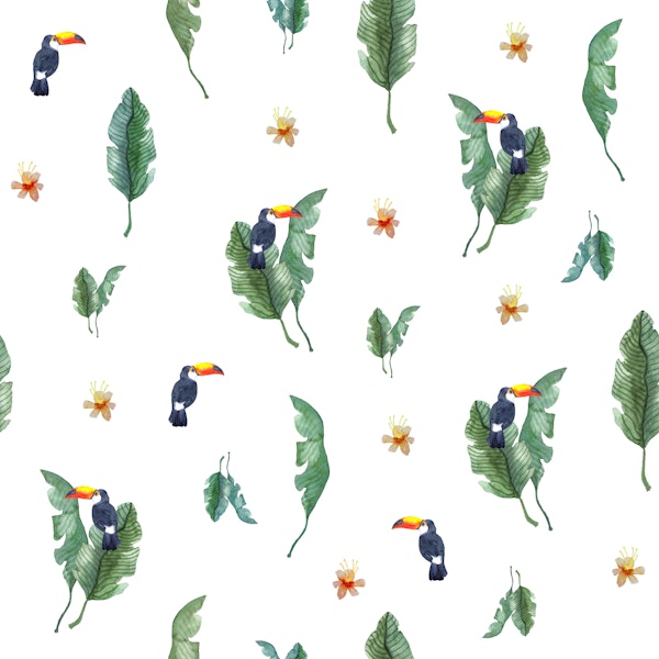 Tropical Toucan Birds