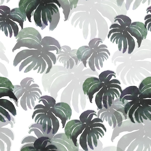 Monstera Garden Dream