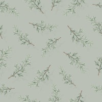 Herbal Rosemary Branches green papiers peint