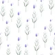 Lavender Fields Bliss