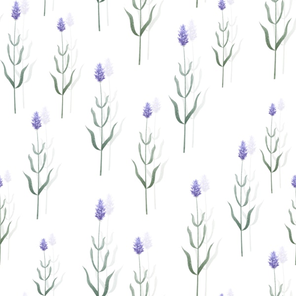 Lavender Fields Bliss