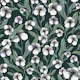Wild White Flowers