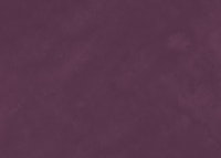 Plum Velvet Wash tapet