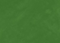 Fresh Green Panel tapet