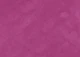 Berry Pink Field