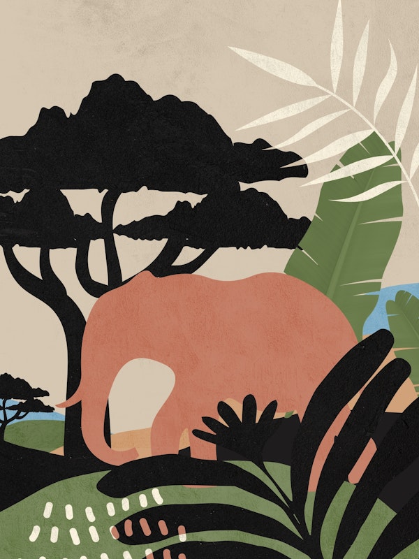 African Jungle Elephant