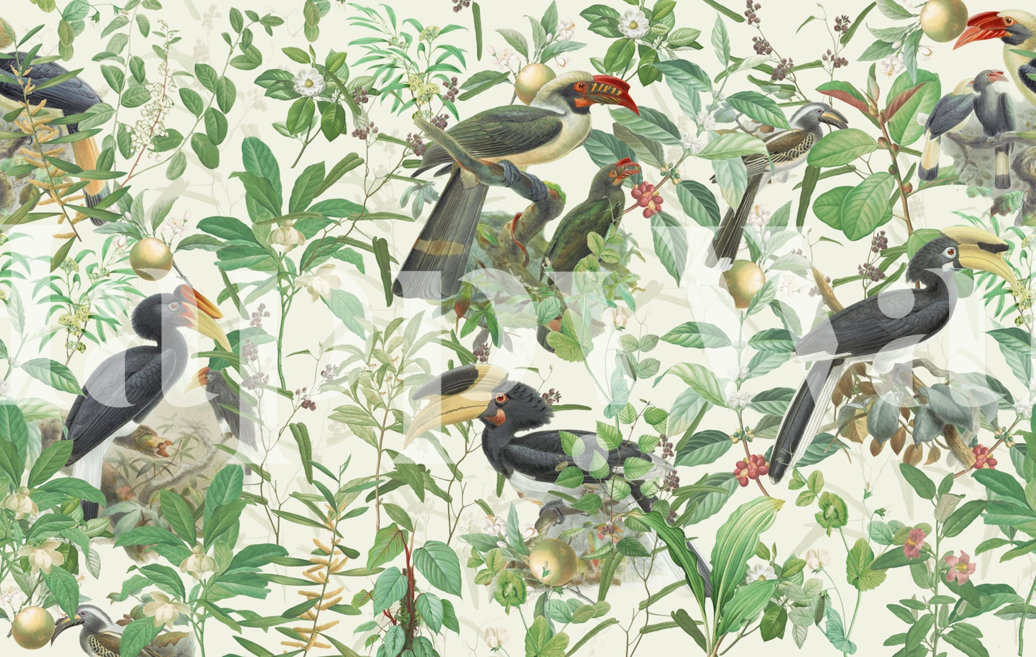 Tropical birds and lush green plants wallpaper