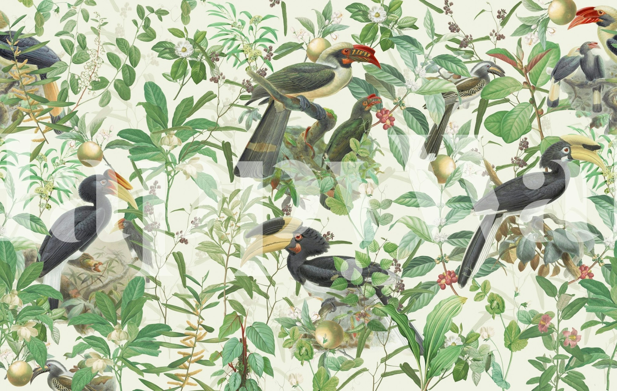 Avifauna Bliss wallpaper featuring colorful birds