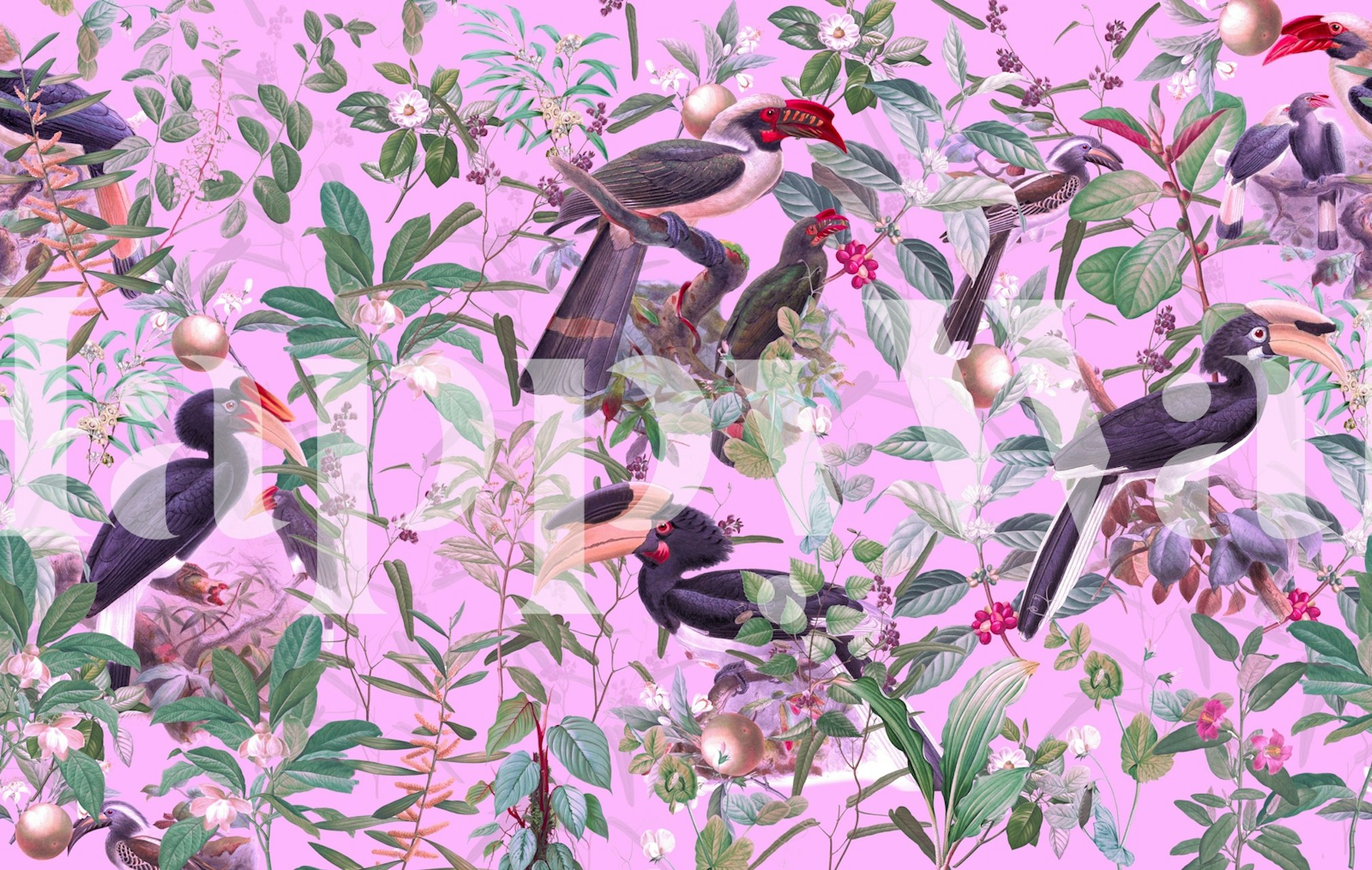 Colorful bird wallpaper in a room