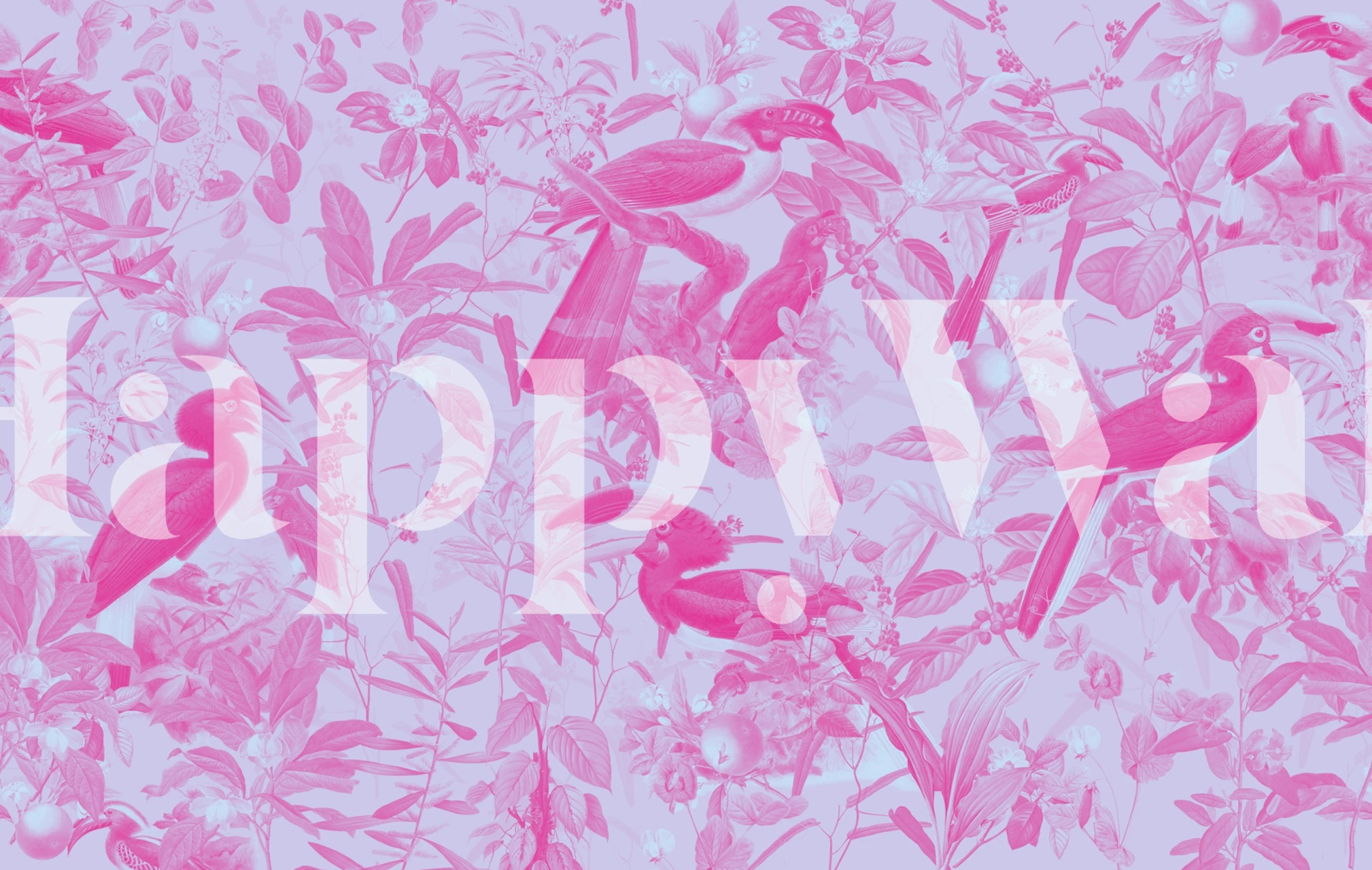 Avifauna Bliss 02 tapetti huoneessa