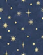 Golden Stars on Navy