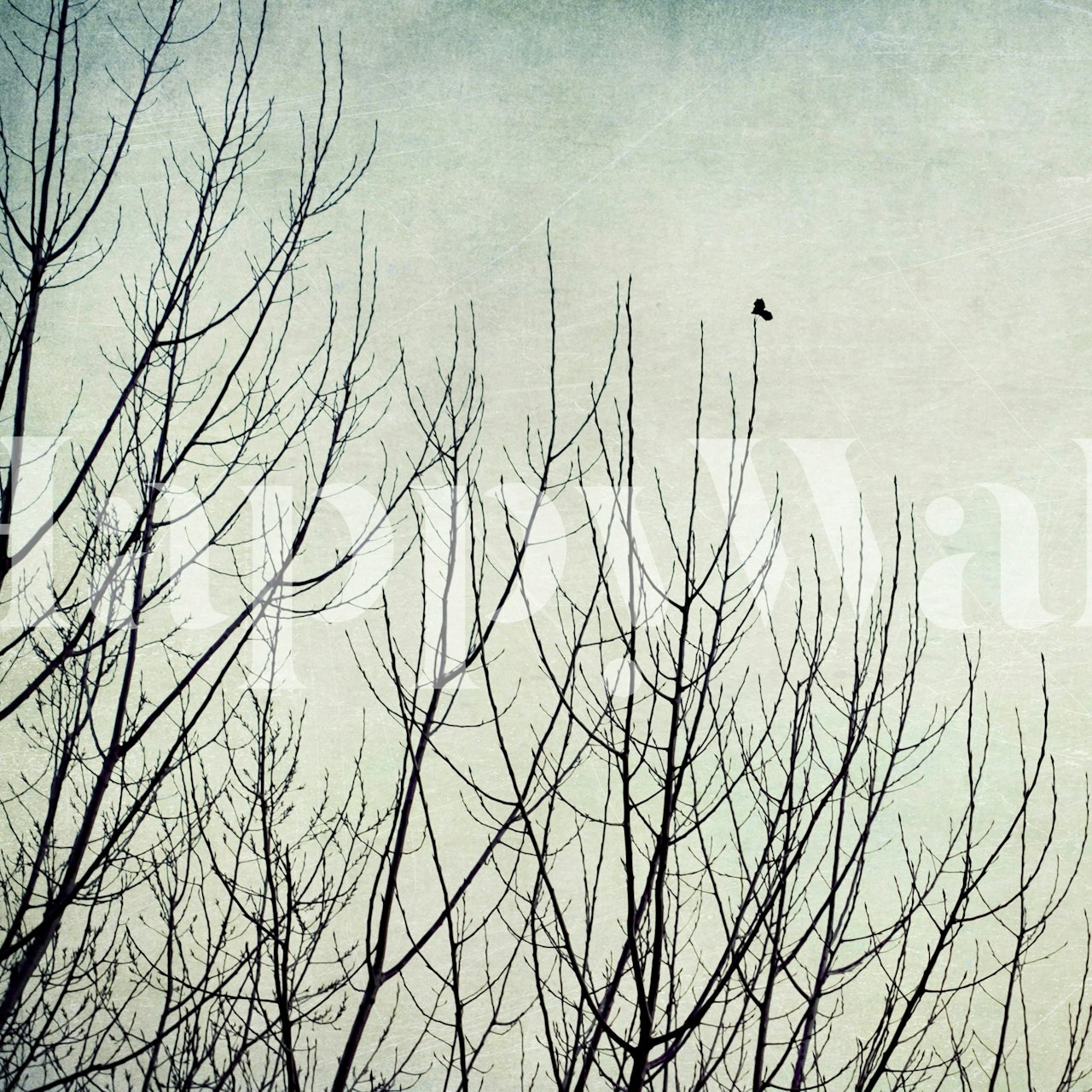 Ταπετσαρία Tree Lone Leaf εμφανίζεται σε ένα δωμάτιο