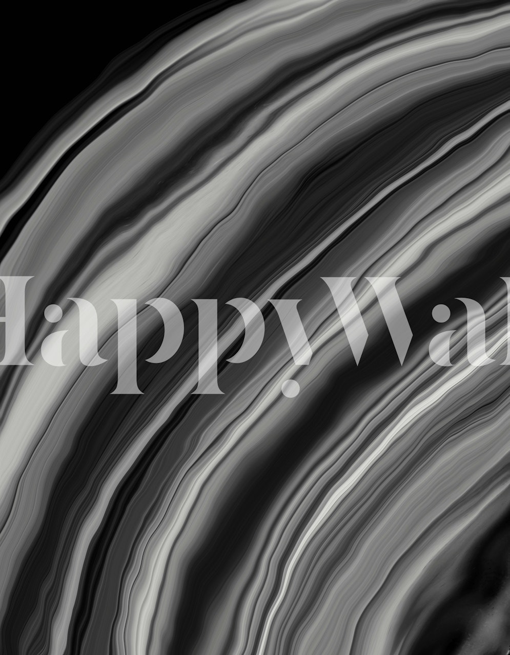 Fotomurais paisagistícos Elegante padrão de ágata preta e cinza