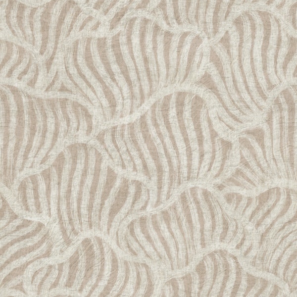 Coastal Scallop Shells Warm Minimalism Beige