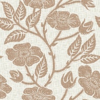 Shimoda Roses in Cinnamon tapete