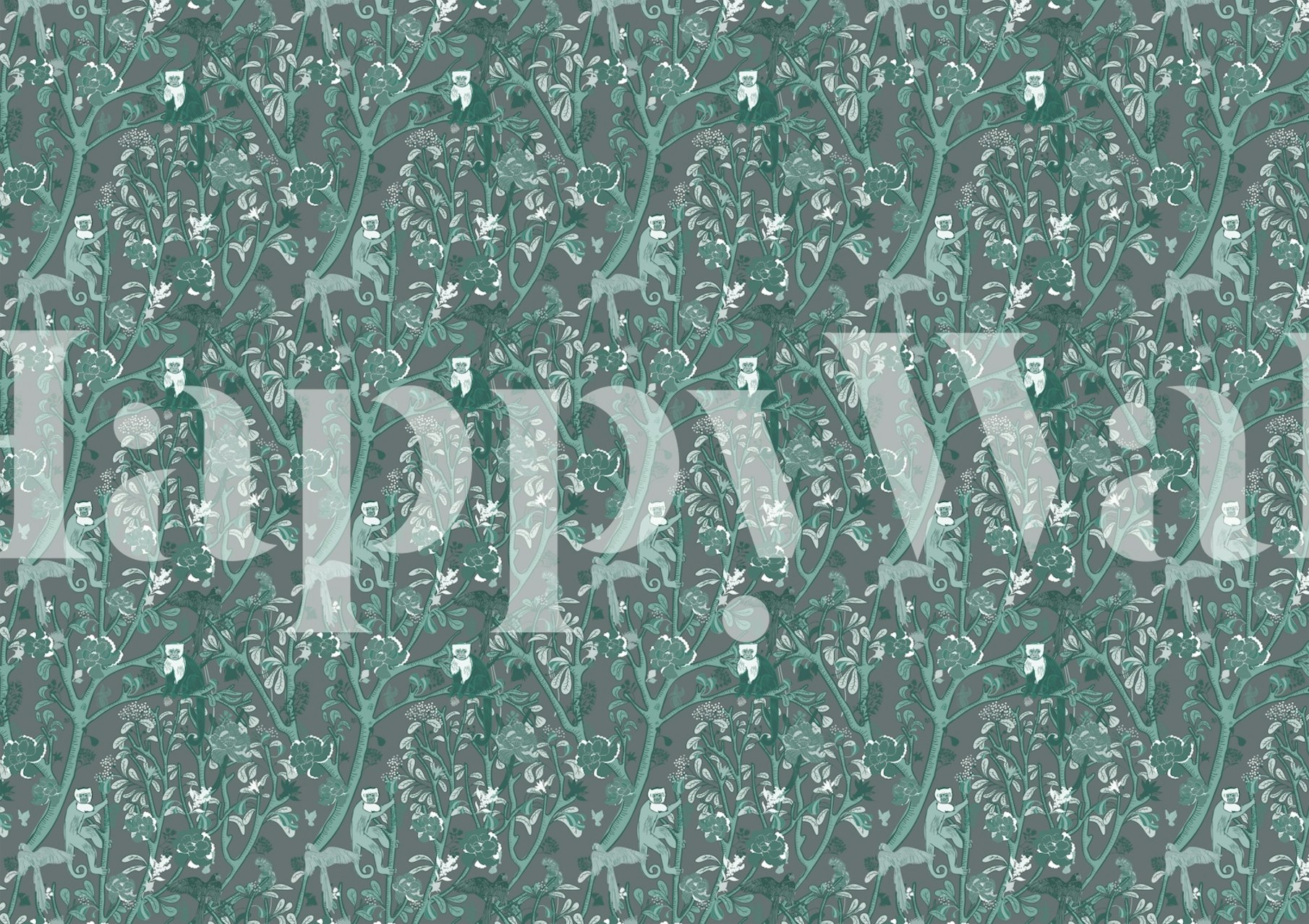 Capuchin monkeys wallpaper σε ένα δωμάτιο