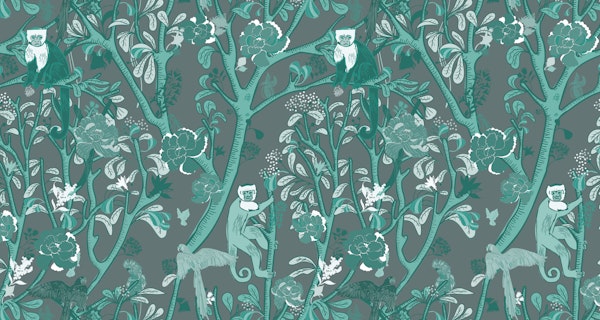 Capuchin Monkeys in Grey and Teal