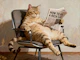 Feline Wealth Wisdom