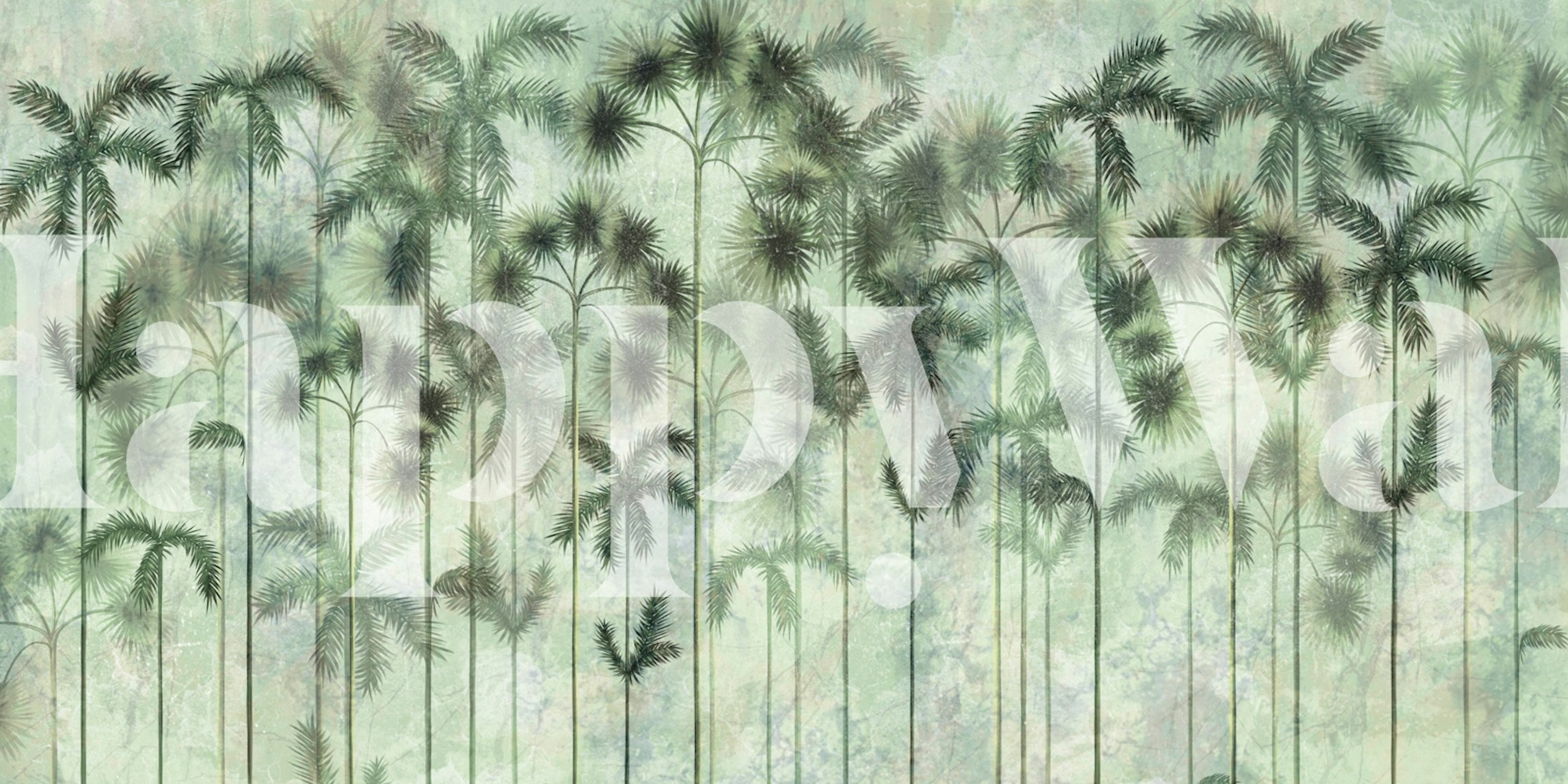 Lush Green Palm Trees wallpaper in a room