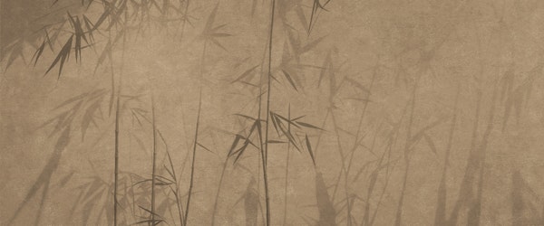 Tropical Palm Leaf Design