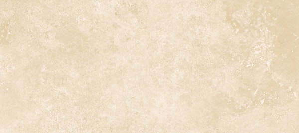 Elegant Light Ivory Design