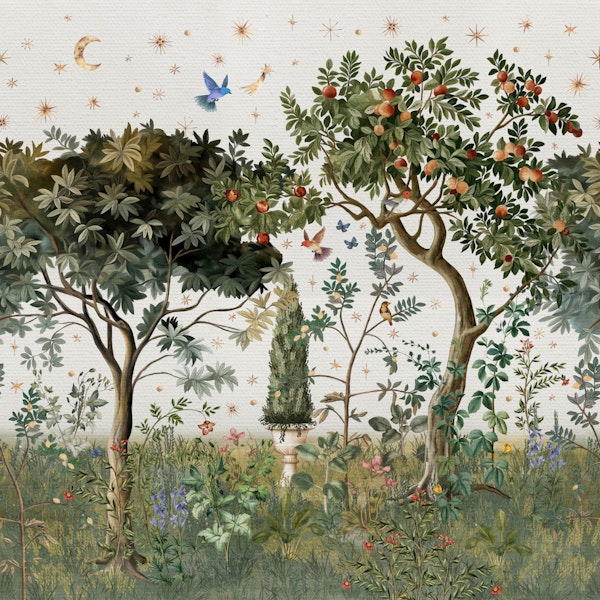 Orange Tree Orchard Dream Art White