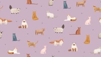 Cats on Lavender Canvas behang
