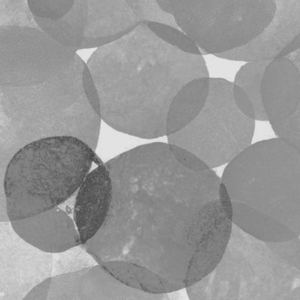 Grayscale Bubble Dance