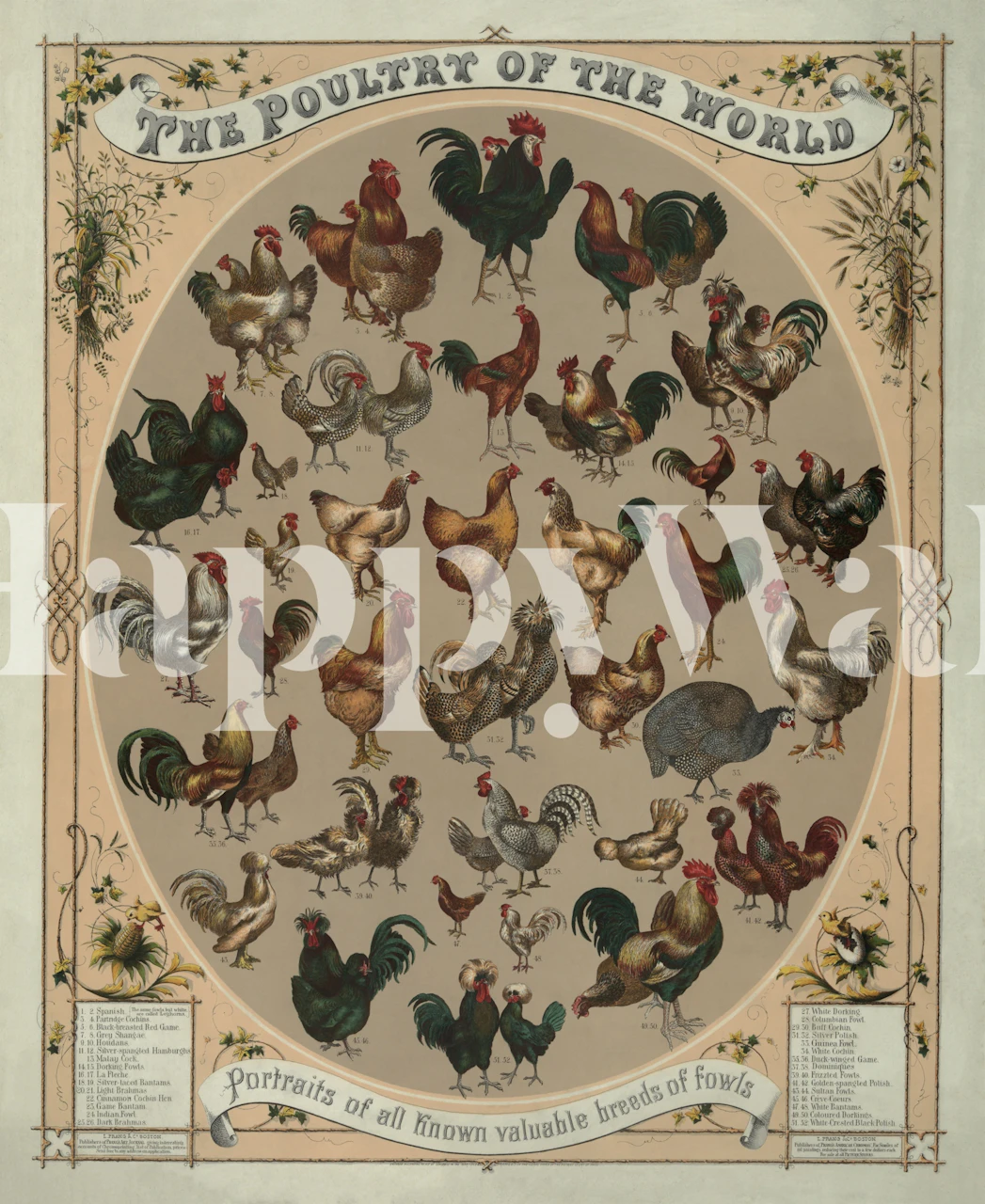 Antique Poultry Farm and Kitchen Chart wallpaper in de kamer