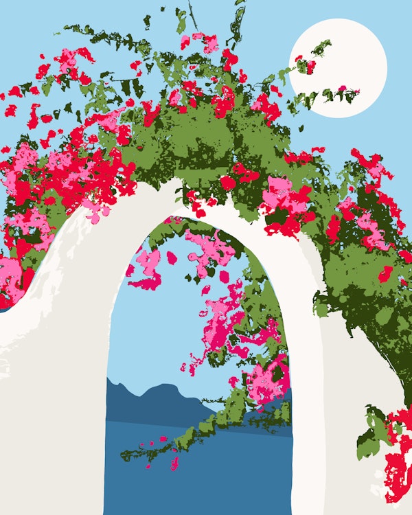 Bougainvillea Arch