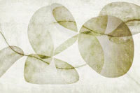 Organic Serenity behang