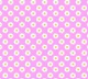 Daisy Meadow Pink