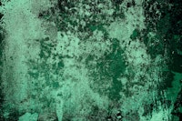 Concrete texture in emerald green tapet