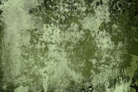 Concrete texture in avocado green tapet
