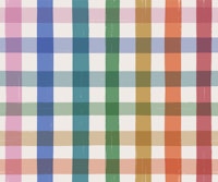 Rainbow Check Colorful Gingham Plaid wallpaper